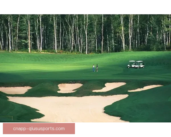 足球绿色直播引领全民观赛新风尚打造健康透明赛事体验平台